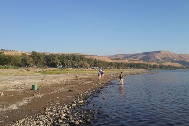 Sandee Kinneret Beach