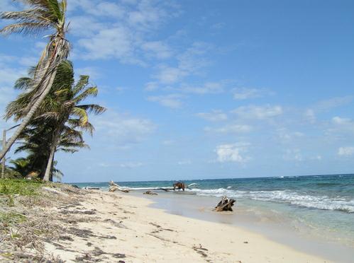 Sandee - Silver Sand Beach