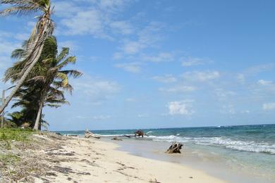 Sandee - Silver Sand Beach