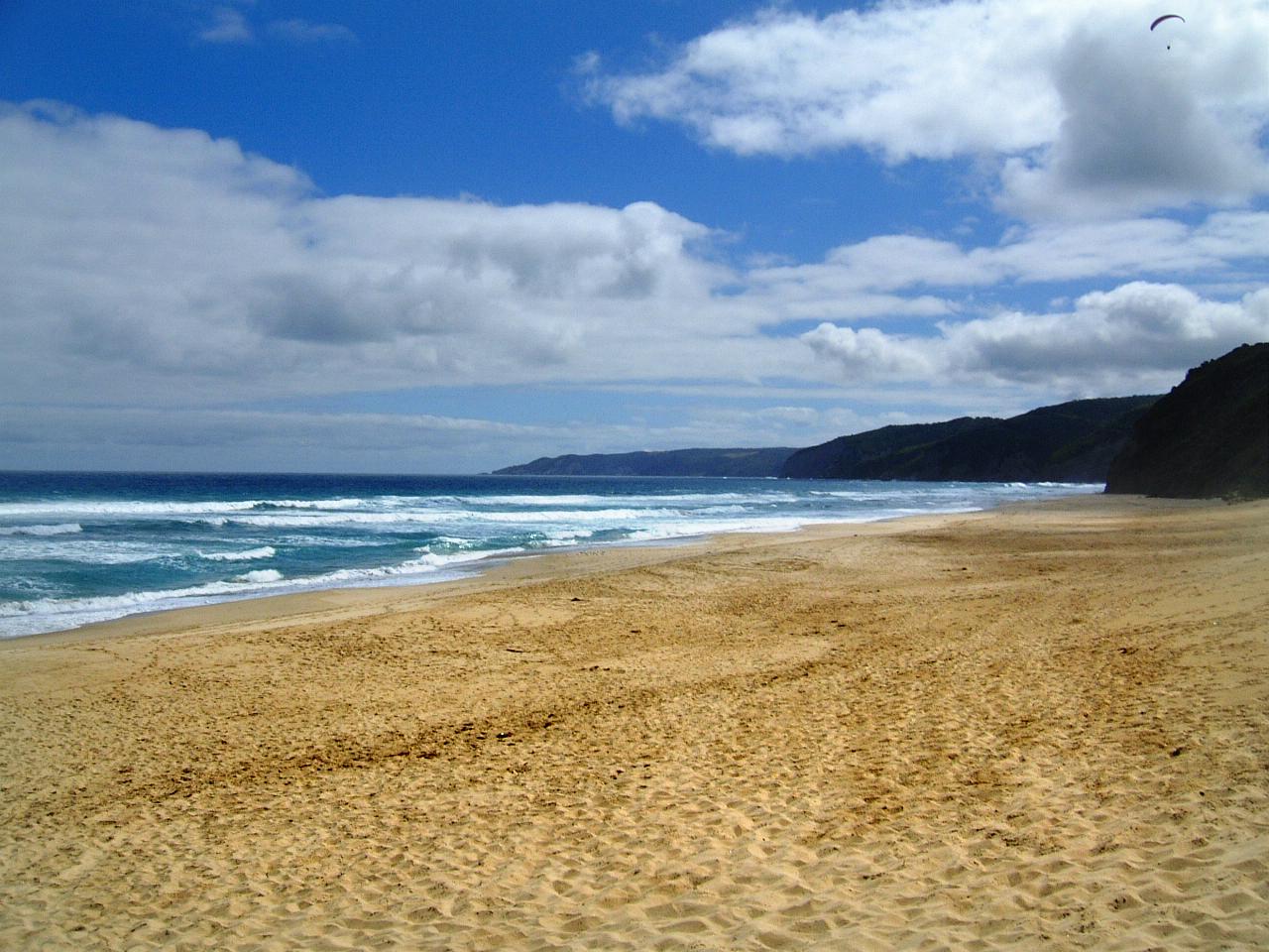 Sandee - Johanna Beach