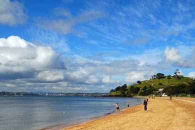 Sandee - Cheltenham Beach