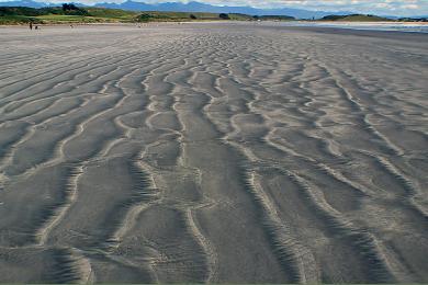 Sandee Newdicks Beach Photo