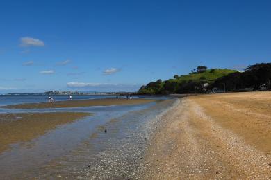 Sandee Cheltenham Beach