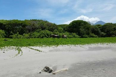 Sandee Playa San Fernando