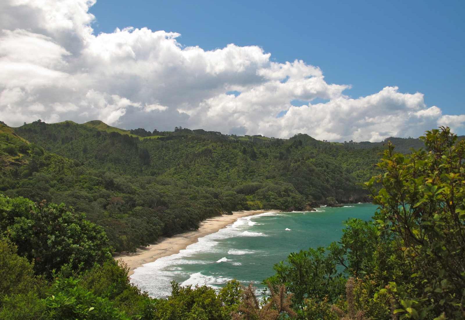 Waihi Beach Photo - Sandee