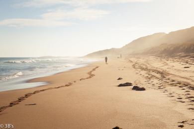 Sandee Warrnambool Beach