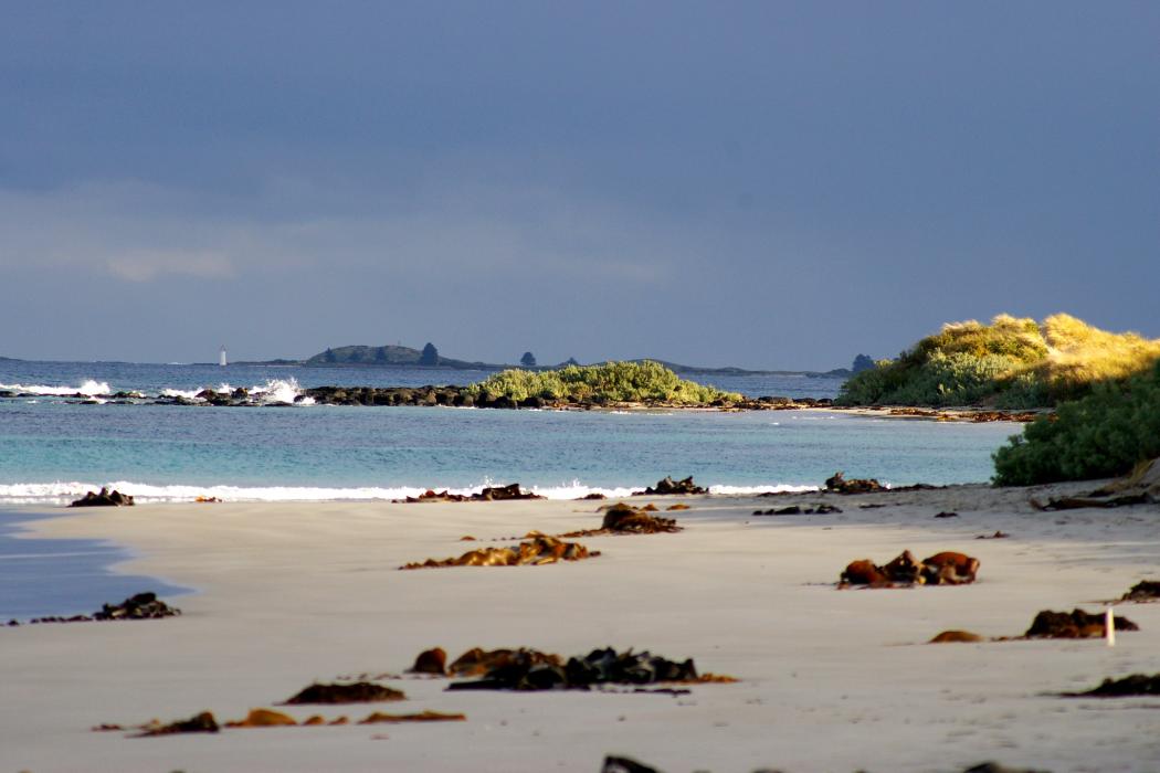 Sandee Killarney Beach Photo