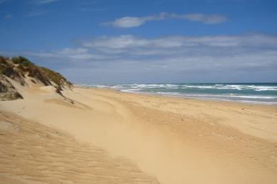 Sandee Yambuk Beach