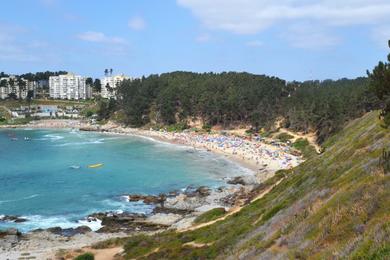 Sandee - El Canelo Beach