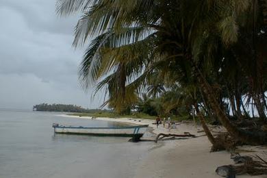 Sandee - Pink Pearl Cay