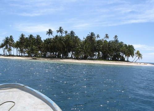 Sandee - Pink Pearl Cay