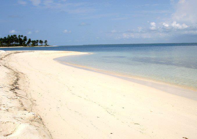 Sandee - Pink Pearl Cay