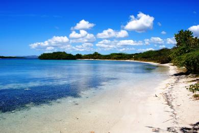 Sandee La Jungla Beach Photo