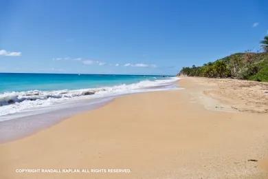 Sandee Playa El Cocal