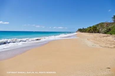 Sandee Playa El Cocal Photo