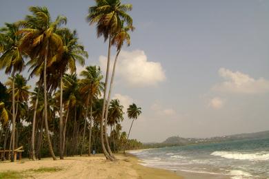 Sandee Guayanes Beach