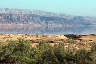 Sandee David Dead Sea Resort Beach Photo