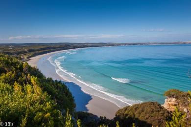 Sandee Cape Bridgewater Photo