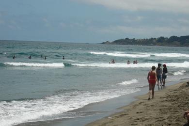Sandee Los Pinos Beach