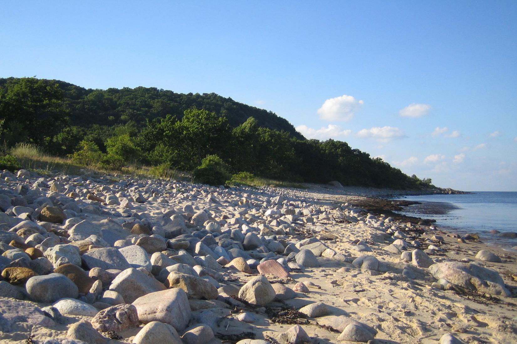 Sandee - Stenshuvud Beach