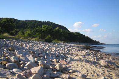 Sandee Stenshuvud Beach Photo