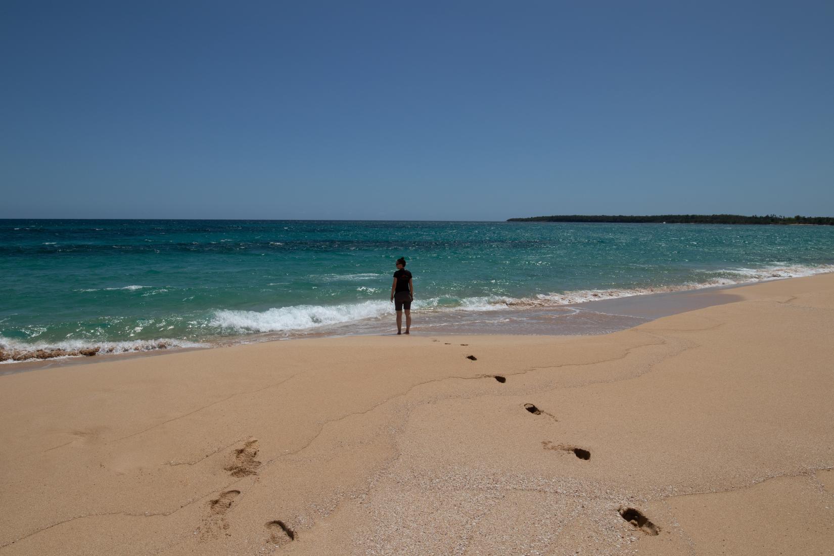 Sandee - Los Tubos Beach