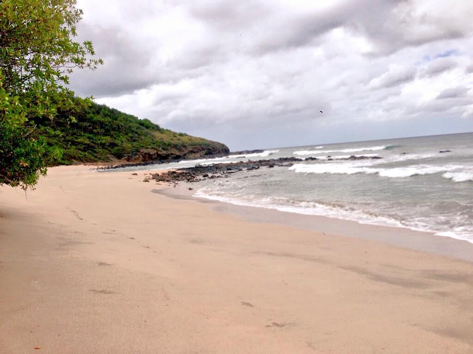 Sandee - Punta Teonoste Beach