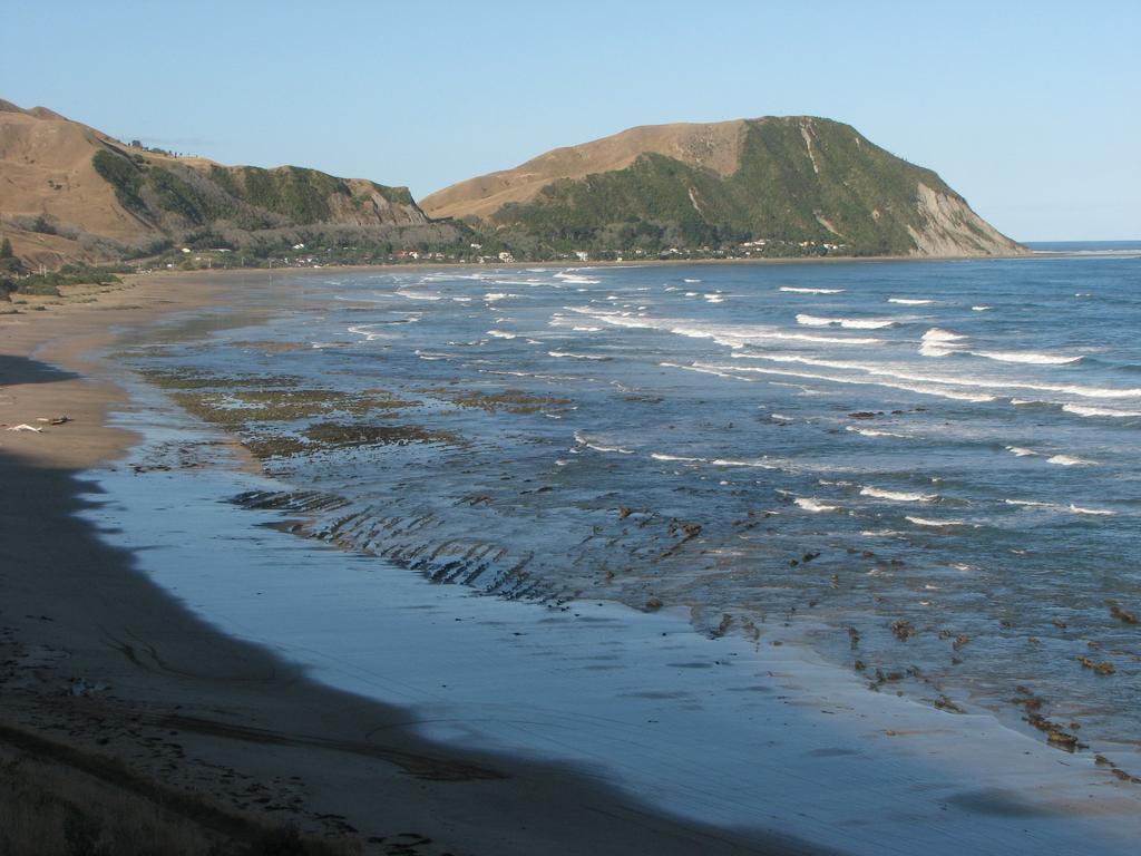 Sandee - HomePage / Gisborne