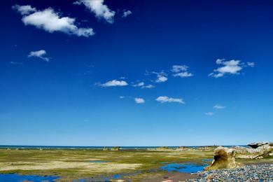 Sandee Playa Los Cangrejales