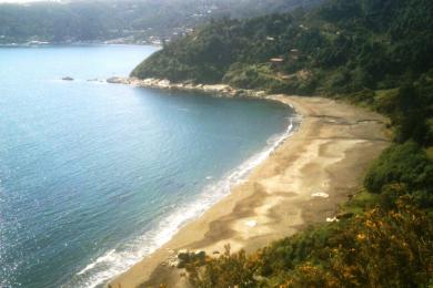 Sandee Los Enamorados Beach Photo