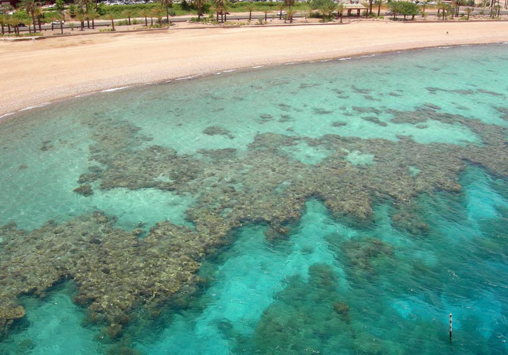 Sandee Coral Beach Nature Reserve Photo