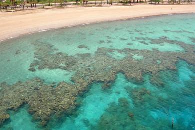 Sandee Coral Beach Nature Reserve