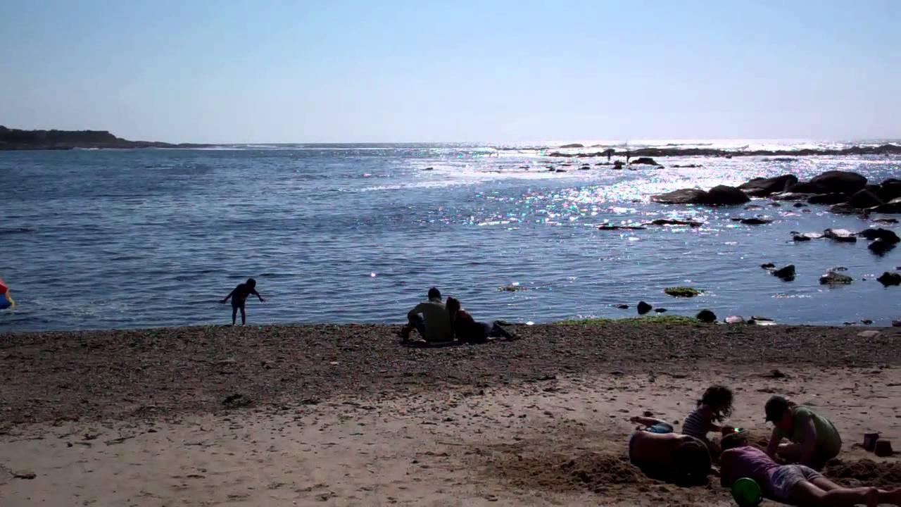 Sandee - El Papagayo Beach