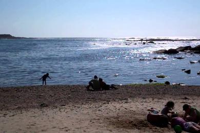 Sandee - El Papagayo Beach