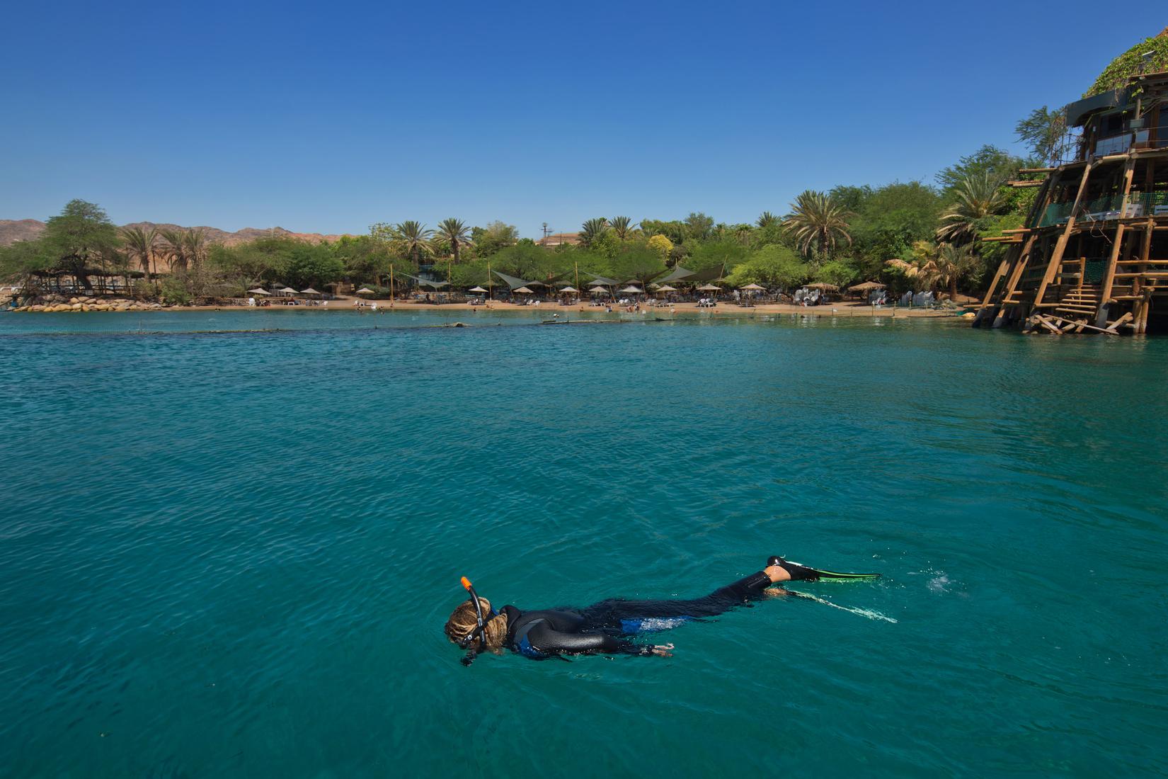 Sandee - Dolphin Reef Beach