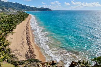 Sandee Punta Tuna Beach