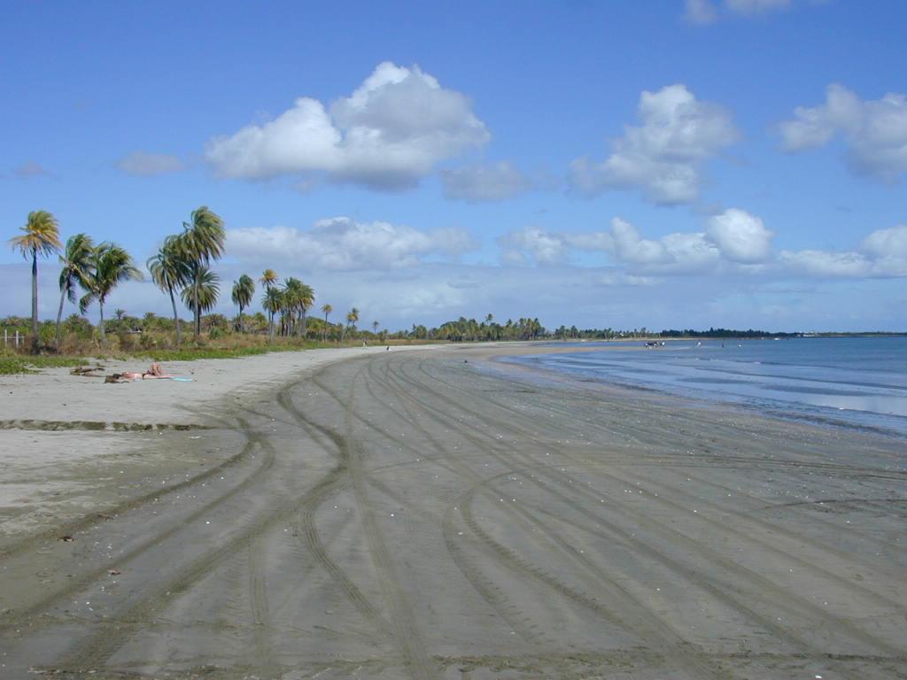 Sandee - Newtown Beach