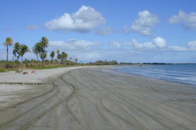 Sandee Newtown Beach Photo