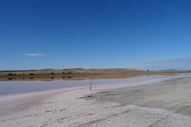 Sandee The Coorong Beach Photo