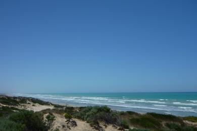 Sandee - Goolwa Beach