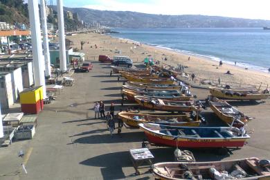 Sandee Caleta Portales Beach Photo