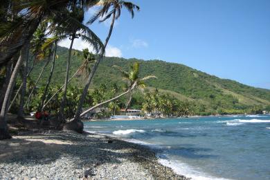 Sandee Caribe Playa Beach
