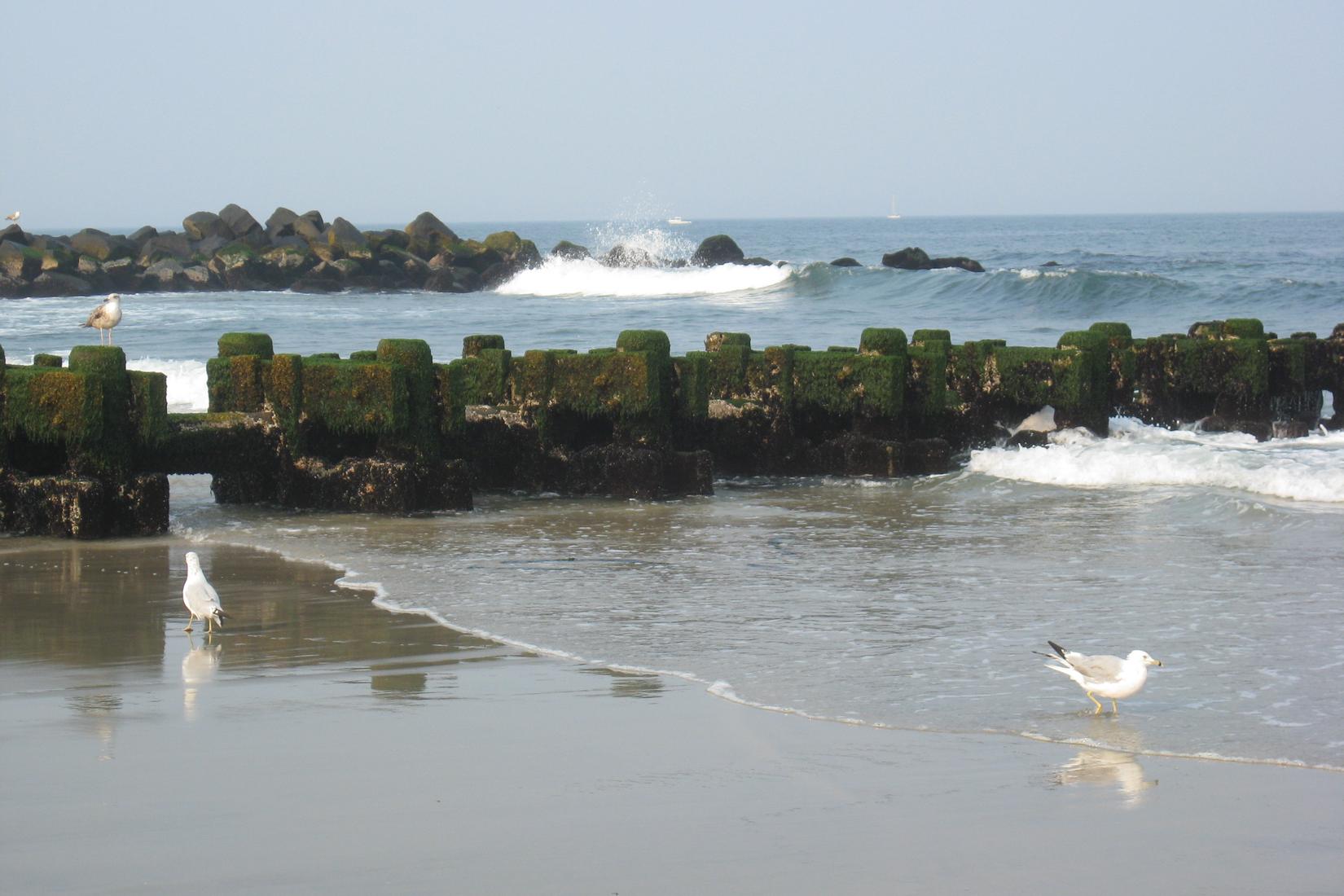 Sandee - Spring Lake Beach