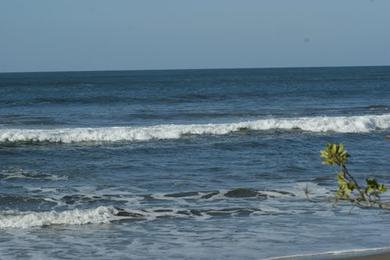 Sandee Playa Manzana