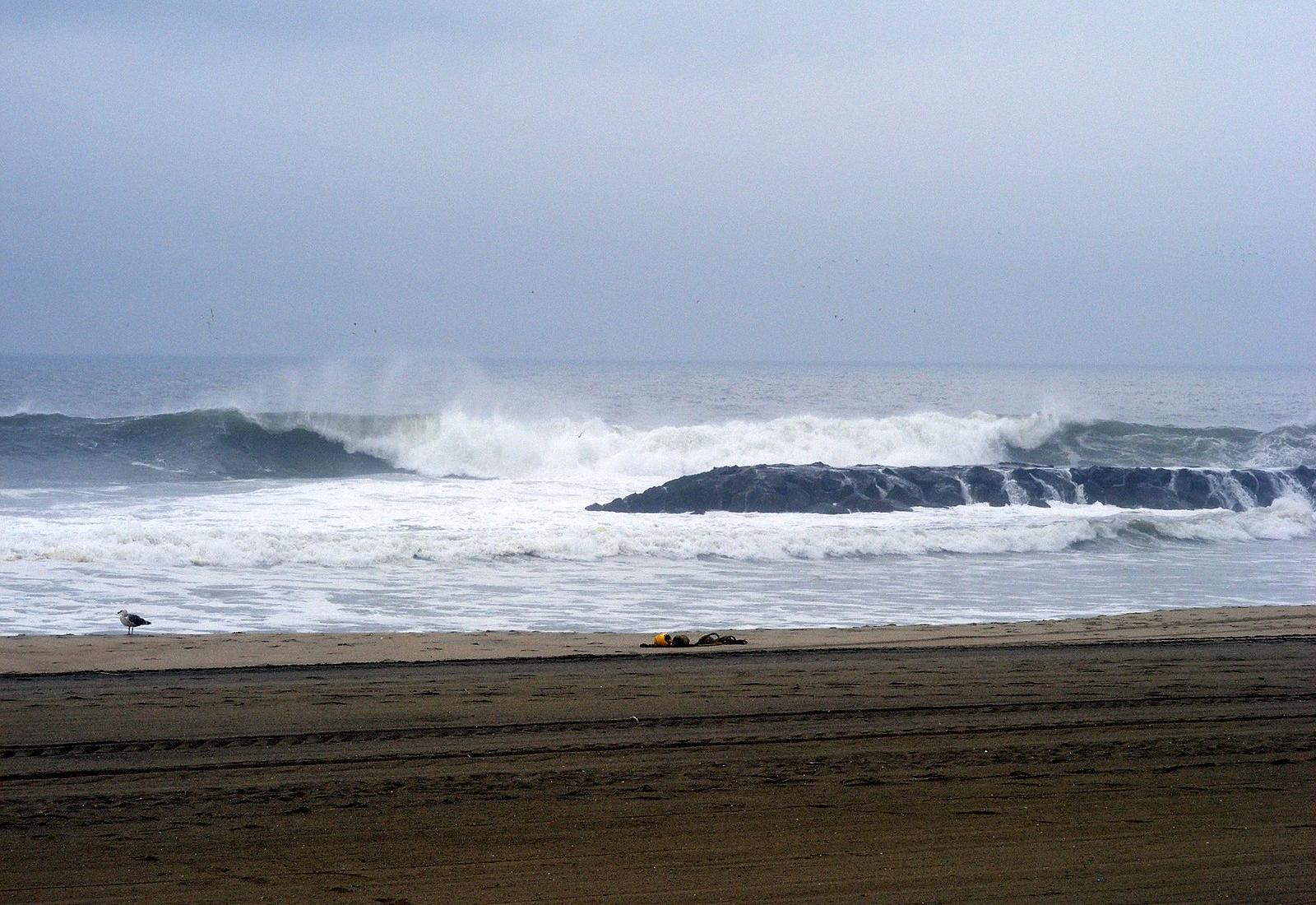 Sandee - Shark River Beach