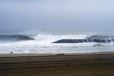 Sandee - Shark River Beach