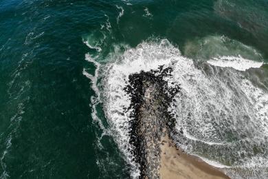 Sandee Shark River Beach
