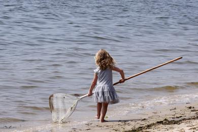 Sandee Memorial Park Beach