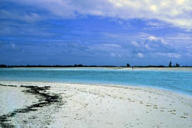 Sandee - Gilliam Bay Beach