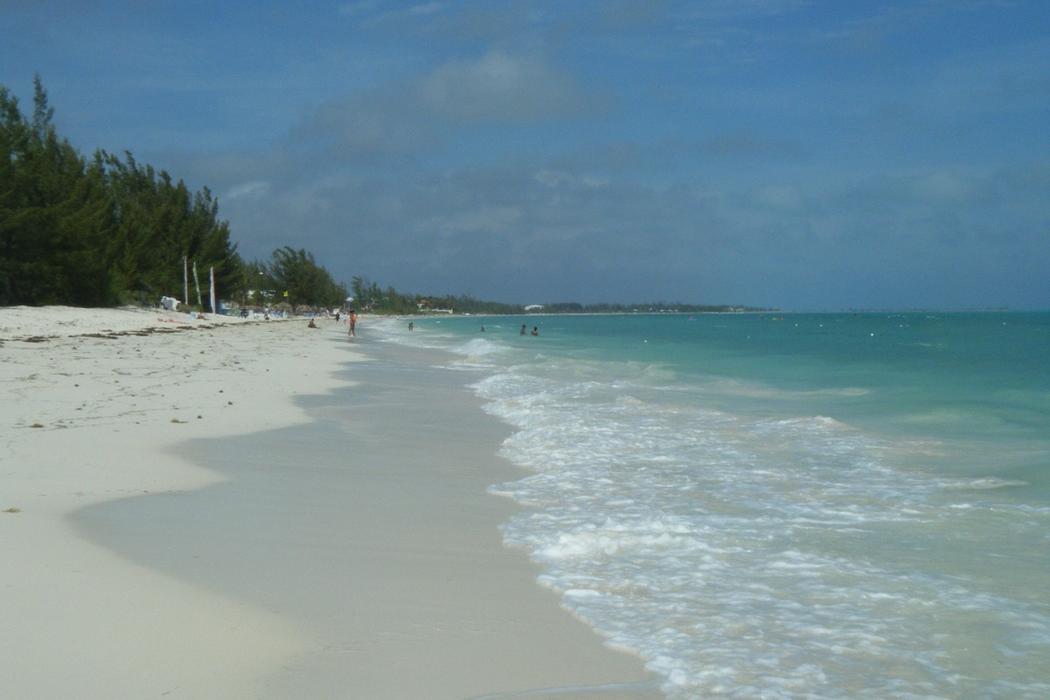 Sandee Smiths Point Beach Photo